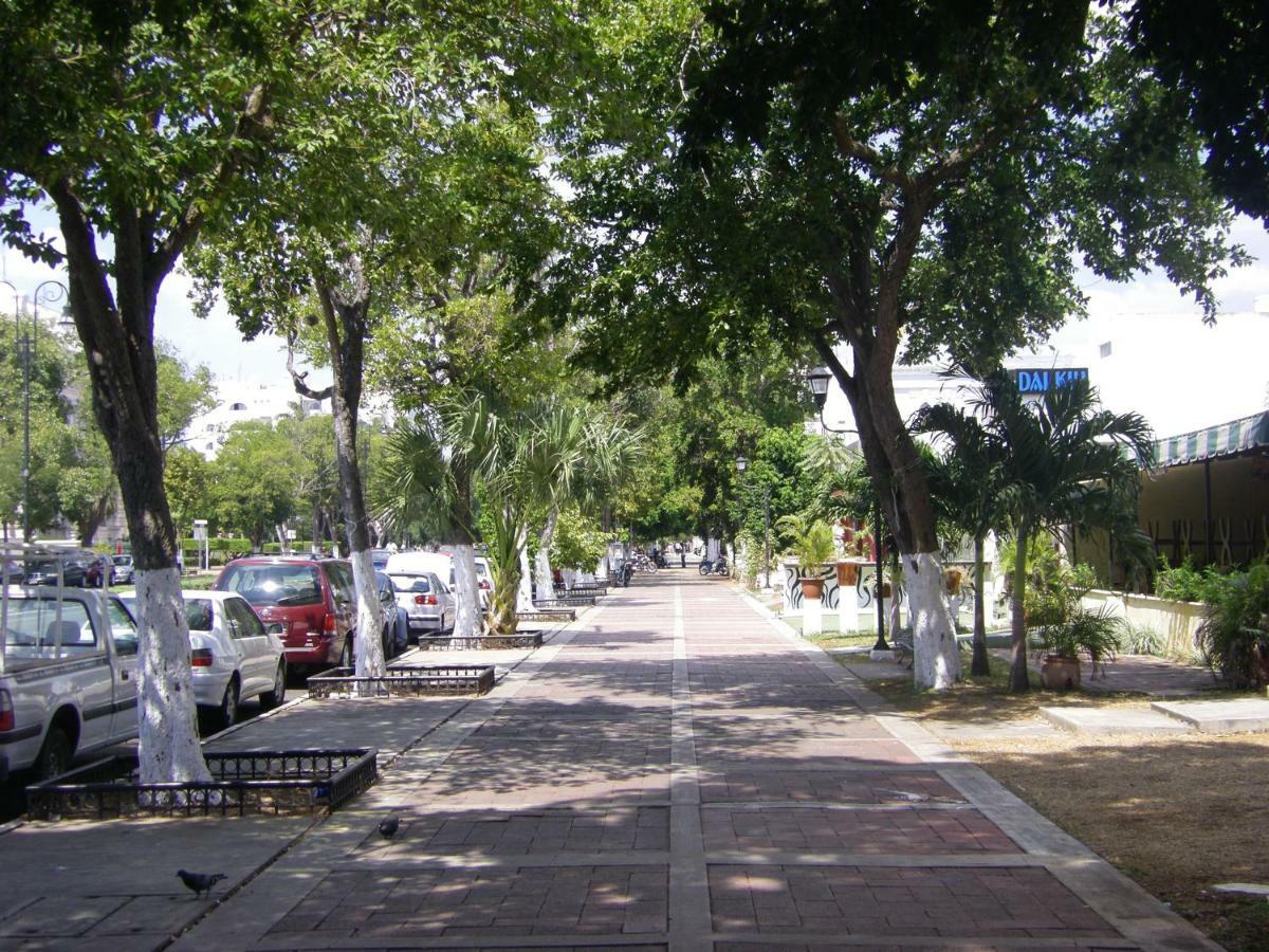 La Casa Del Turix Hotel Merida Exterior photo